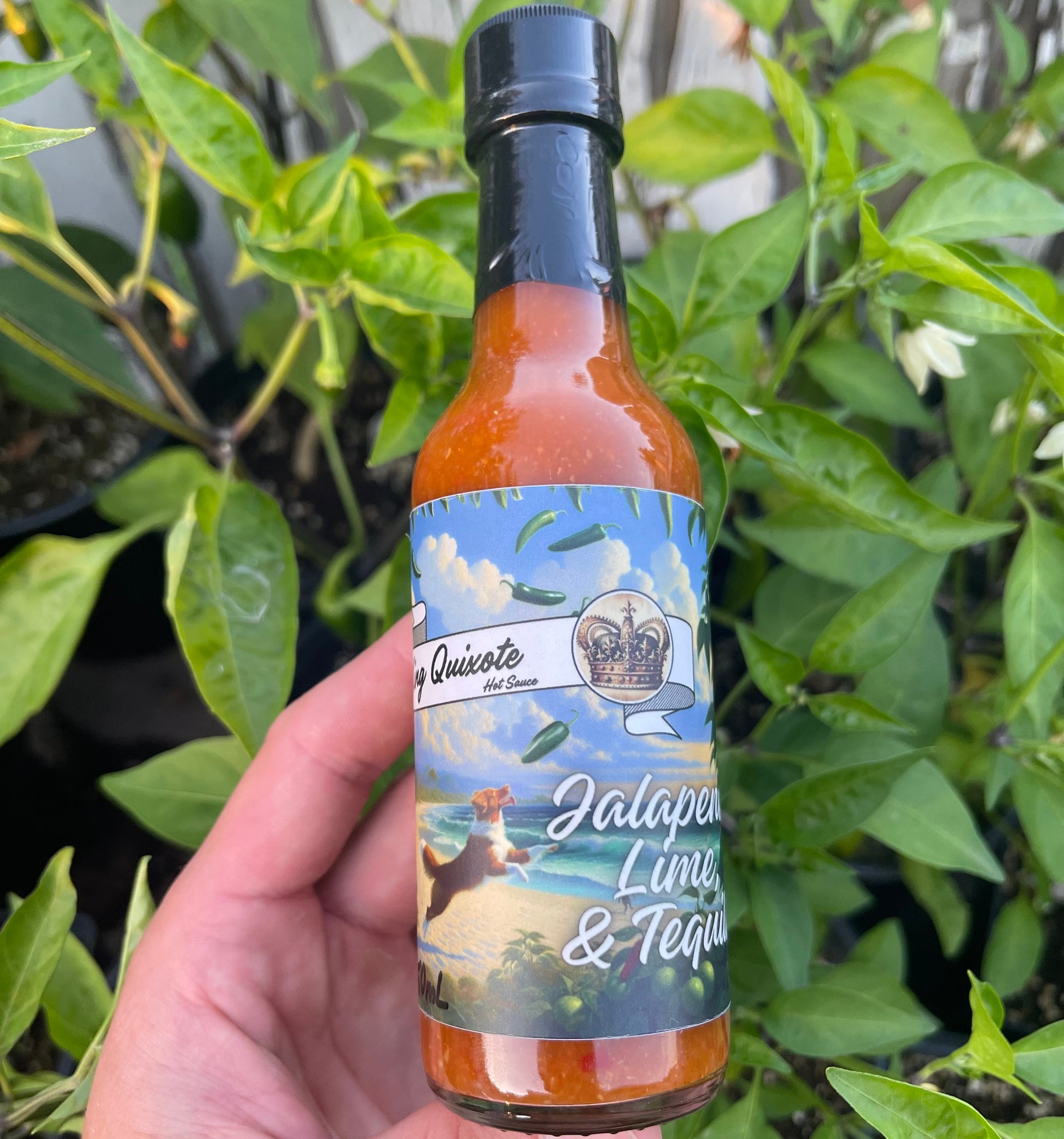 Jalapeño, Lime, & Tequila