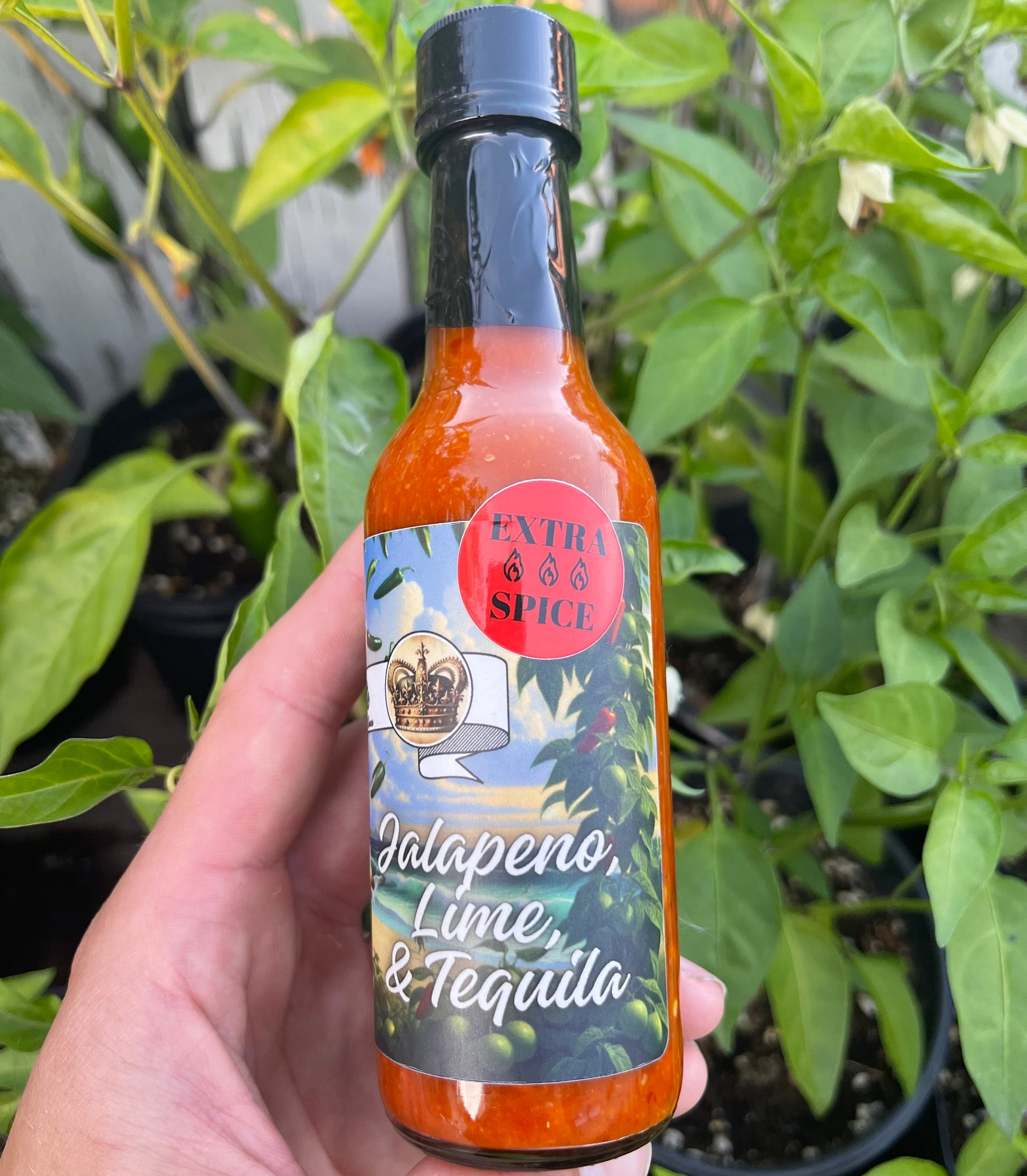 Jalapeño, Lime, & Tequila